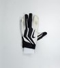 JORDY NELSON SIGNED NIKE GAME ISSUED LEFT BLACK & WHITE GLOVE #2 - JSA