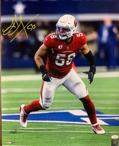 JORDAN HICKS SIGNED CARDINALS 16X20 PHOTO #1 - JSA